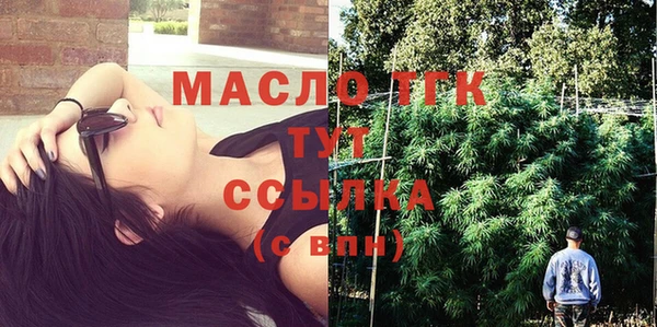 эйфоретик Горняк