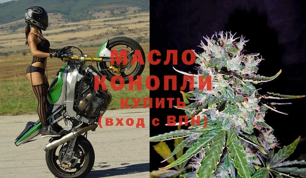 первитин Гусев