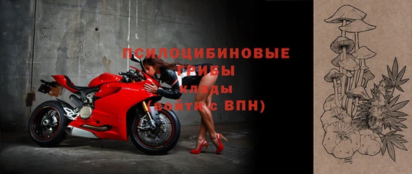 эйфоретик Горняк