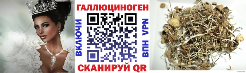 Купить  Шилка  Галлюциногенные грибы мицелий 