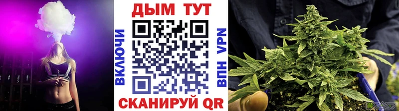 Купить  Шилка  Конопля AK-47 